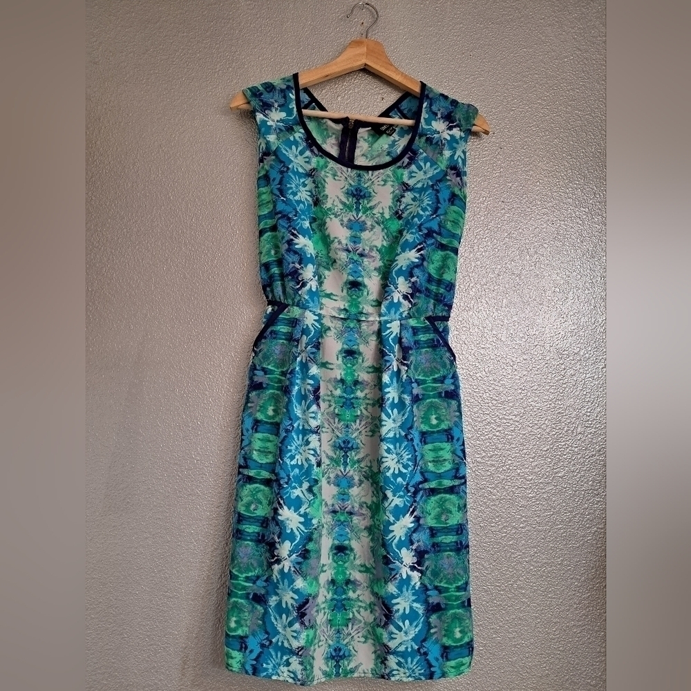 Vintage Inspired Floral Watercolor Designed Dress   Size XS
